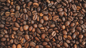 eating coffee beans