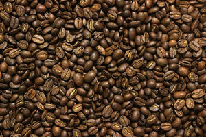 Hoxton Coffee Colombia organic arabica coffee beans