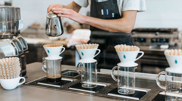 barista pour over coffee