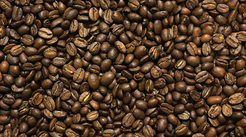 Hoxton Coffee Colombia organic arabica coffee beans