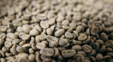 mycotoxins in coffee myth